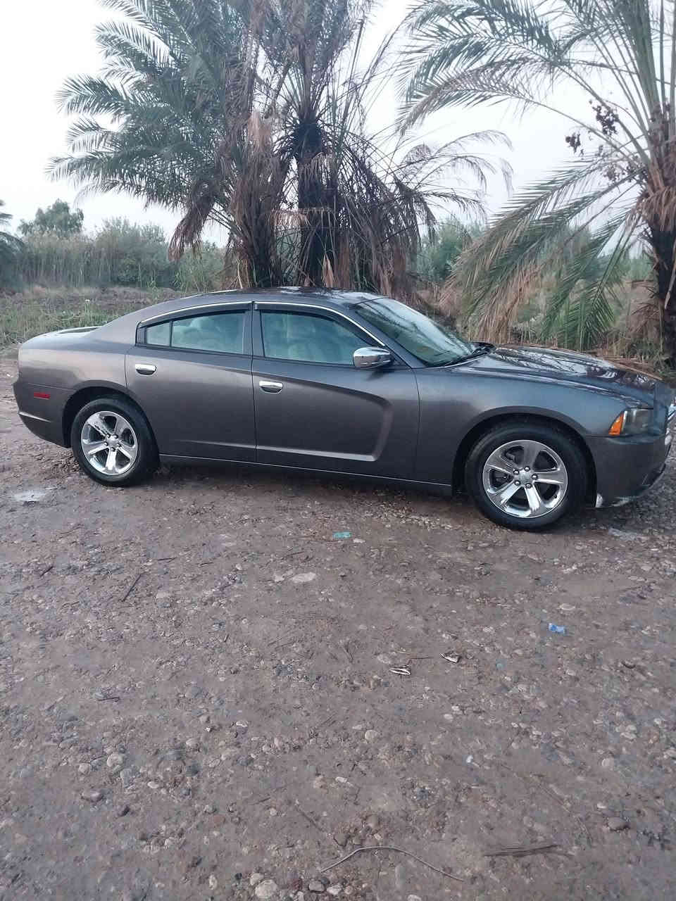 السلام عليكم 
🚗 سيارة للبيع – جارجر 2014
السيارة ما مبدّل بيها أي قطعة وما مصبوغة
ما عدا:

الدعامية الأمامية

بارد بالجاملغ الخلفي قليل 

السيارة جاهزة تمامًا ومبيها أي نقص، التقرير مالتها موجود والسيارة باسمي والرقم انكليزي 
📞 للاستفسار: ***********
📍 العنوان:ذي قار - قضاء الرفاعي
