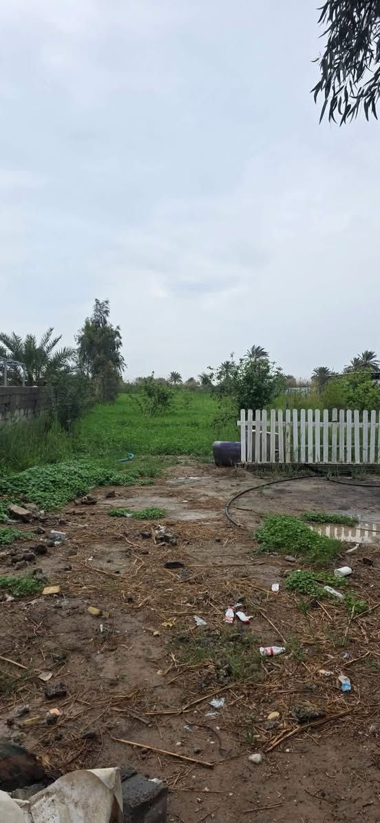 سلام عليكم ارض للبيع المساحة دونم ملك صرف المدائن منطقة التويثة خدمات كاملة ماء أسألة قرب شارع سيد علي للستفسار اكثر اتصل  ***********
