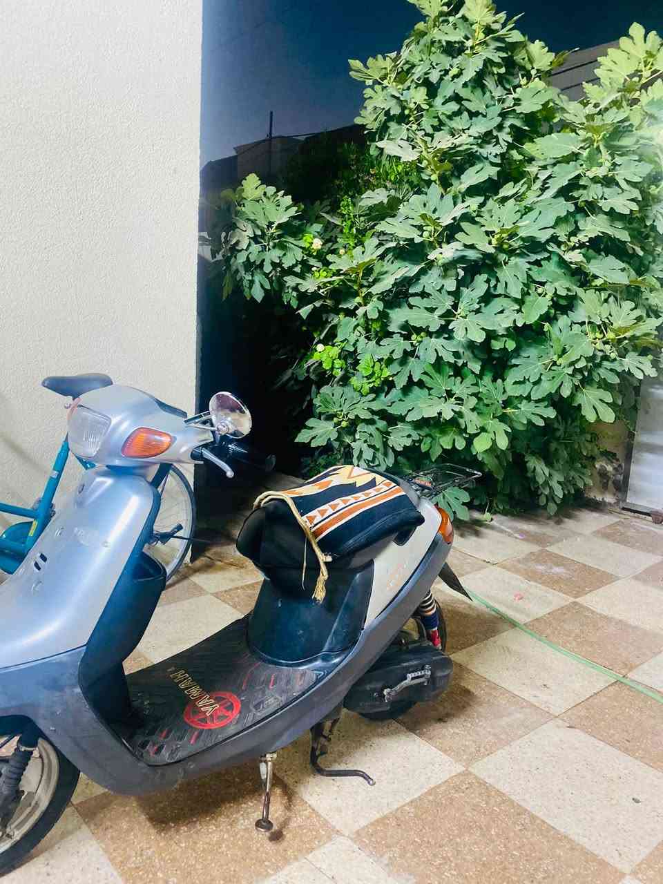 بطه للبيع ٢٠٠٣ نضيفه تشتغل سلف هندر كهربائيات كلهه شغاله للبيع السعر ٤٧٥ او بيهه مجال حك الجيه


**إذا كنت صاحب هذا الإعلان وتريد حذفه لأي سبب، رجاءا أرسل رسالة إلى الدعم الفني**