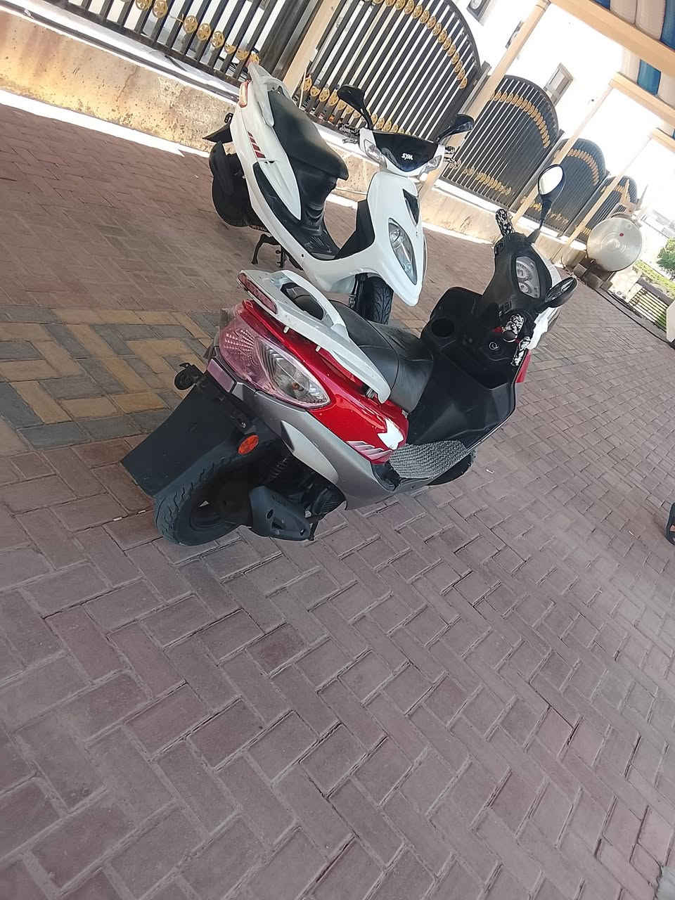 يا اللّه للبيع دراجة سايم ابو عيون محرك نظيف كهربائيات سلف هندر كله شغال السعر 475 وبي مجال العنوان الرمادي التواصل على الرقم ***********
