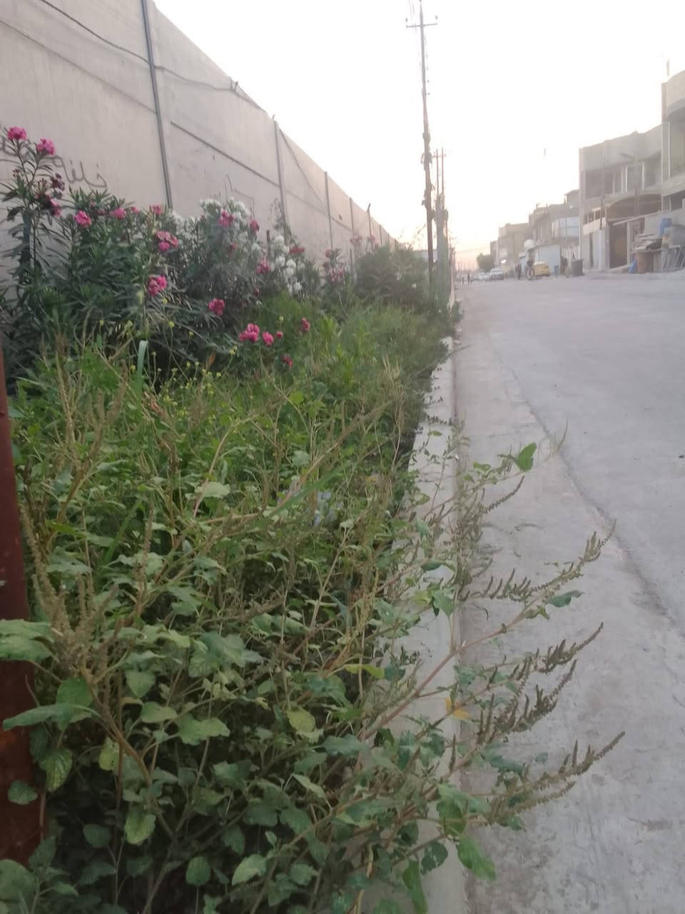 دار للبــــــــــــــــــــــــــــــــيع

100 متر مربع ركن زراعي

طابقين وبيتونة

الزعفرانية ألأربع شوارع_-خلف دائرة المجاري نهاية شارع ألأمام علي (ع)

للاستفسار أكثر أرقام صاحب الدار ***********_***********
