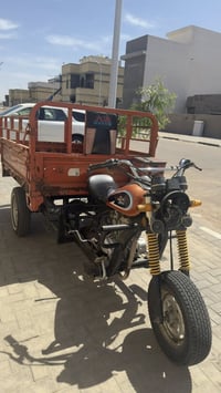 ستوته دايوان 2021 وكيل الاخوين اوراق اصوليه باسمي كامله نضيفة حلوه شاص...
