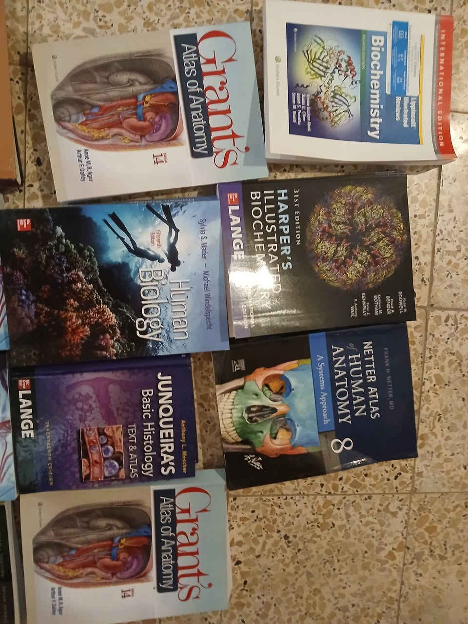 كتب طبية للبيع للتواصل عالخاص


**إذا كنت صاحب هذا الإعلان وتريد حذفه لأي سبب، رجاءا أرسل رسالة إلى الدعم الفني**