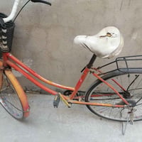 باسكل • فيه مجال • واتساب