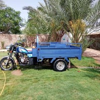 ستوته • ٢٠٢٣ • مداور