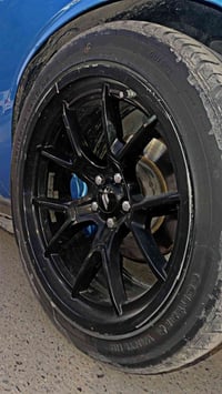 ويل 20 تخم كامل بدون لا فطر ولا عواج  مراوس بغير نقشة  بغداد الكرخ  07...