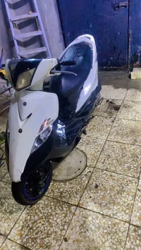 ثعلب • دراجة • ٤٥٠