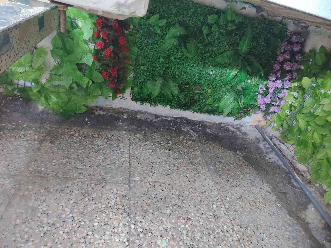 زراع صناعية مع شجرة مع فاص ازرك السعر كلهن 30الف عنون شعب


**إذا كنت صاحب هذا الإعلان وتريد حذفه لأي سبب، رجاءا أرسل رسالة إلى الدعم الفني**