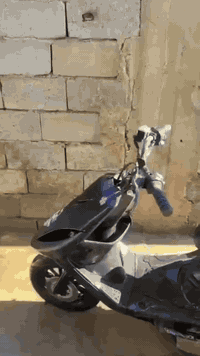 ماكس عدله • مكينة بلدي 49 • دراجة ناعمة