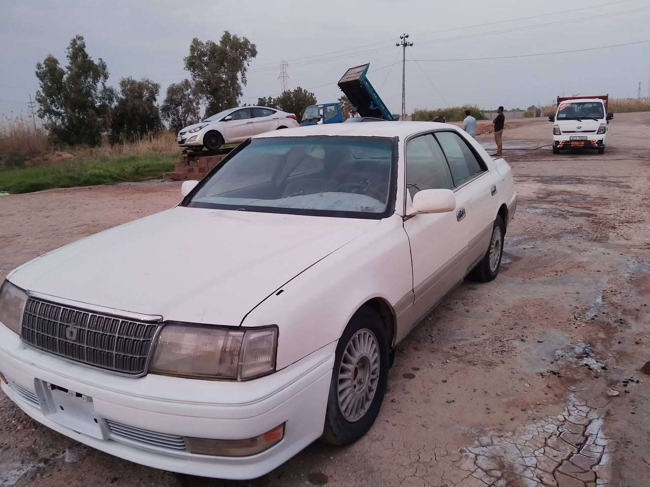 راس الثور ادوات
السعر 19

***********
