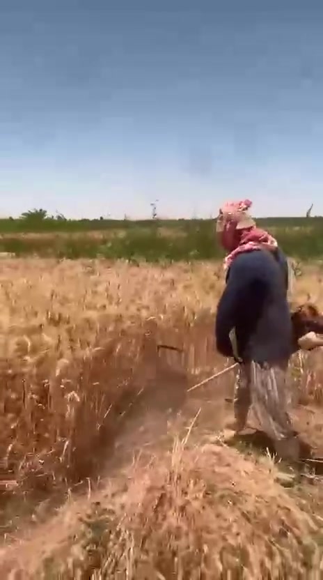 55 فدان منهم 15  فدان تمليك و 35 فدان صندوق علية ايجار 750 جنية فيهم 3000 نخلة وفيهم 200 نخلة طارحين وفيهم فدان لمون وفيهم فدان نبق تفاحي وفيهم الف نخلة مشتل في الصوبة وفيهم 6 فدان محصيل زراعية بيتزرعو غاطس 50 حصان وطاقة شمسية 55 كيلو بير اعماق 320 متر محول كهربة خاص 100 كيلو للارض فيها سكن جاهز وفيها اتنين زريبة مواشي الأرض كلها شبكة ري تنقيط وغمر علي كل فدان وفيهم 8 فدان بقر نخل لسة هيتزرعو تعمل ليهم أحلل وفيها طرق داخلية ومصارف داخلية االمصارف كلها بتجمع في حفرة كبير وليها متوار متوصل للمصرف الكبير الحكومي المكان قبل محطة الرفع عين عيد  محافظة الوادي الجديد الخارجة 
01226766397
01153409009


**إذا كنت صاحب هذا الإعلان وتريد حذفه لأي سبب، رجاءا أرسل رسالة إلى الدعم الفني**