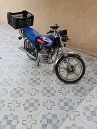 فول • نضيف • بدون أوراق