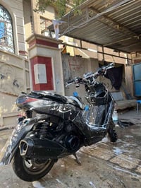 سكنس جبلي • مامفتوح • كفالة