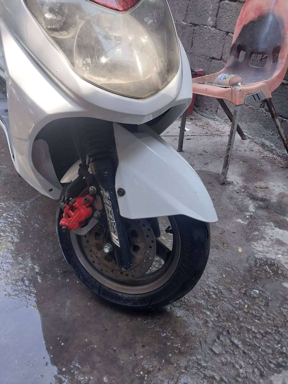 سلام عليكم اخوان للبيع سكنس فحل كابريتر دراجه كلش حلو سعر ٦٠٠ مكاني بغداد الشعله هاتف  *********** ملاحضه تايرات جلاتين
