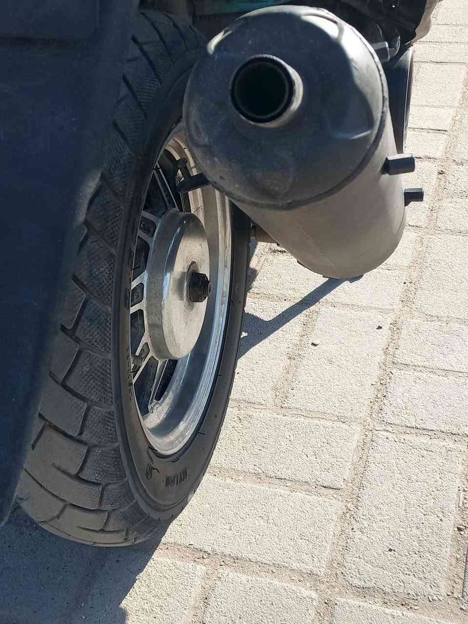 عليكم دراجه ماكس عدله بلادي كلج رياضي صالنصه رياضي كفاله عامه جيب فيتر وتعال بغداد ابو اجير سعر 500/* /***********📞
