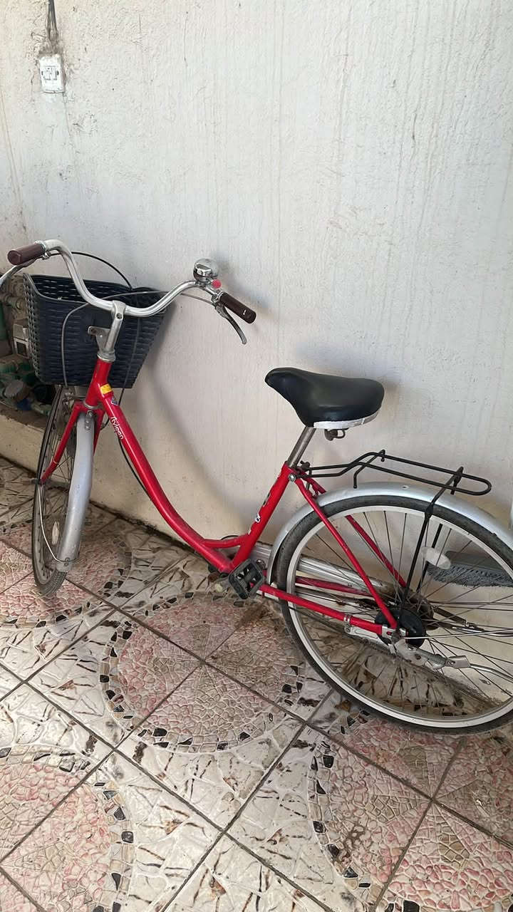 مراوس ويه بايسكل  جبلي


**إذا كنت صاحب هذا الإعلان وتريد حذفه لأي سبب، رجاءا أرسل رسالة إلى الدعم الفني**