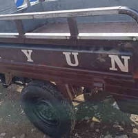 ستوته ٢٠١٤ • مكفولة أوراق • كوت ام هليل