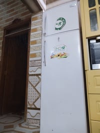 ثلاجة • شرط الفحص • ميسان