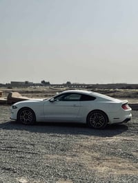 موستنك ايكو بوست • ٢٠٢٣ • تحويل اربيل