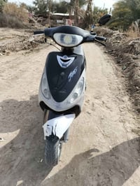 ماكس منغولي • مكفولة • للبيع