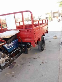 ستوته • موديل ١٤ • كوت