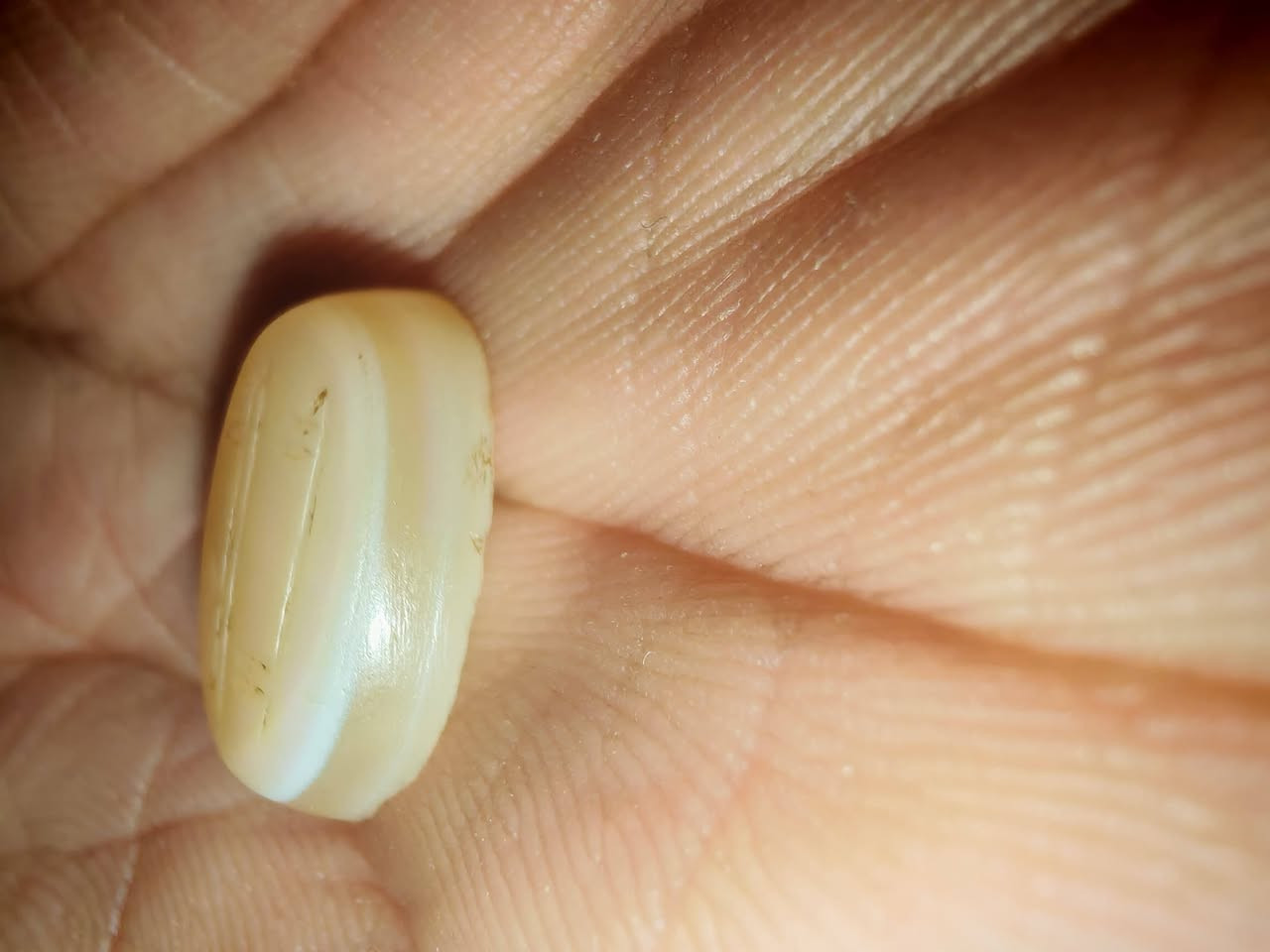 جزعه كوفيه العزة لله
استفسار على الرقم ***********
