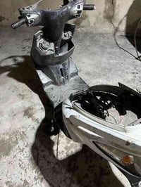 شاصي سكنس فحل للبيع وشتريد غراض سكنس فحل موجود تفاصيل اكثر خاص او اتصل...