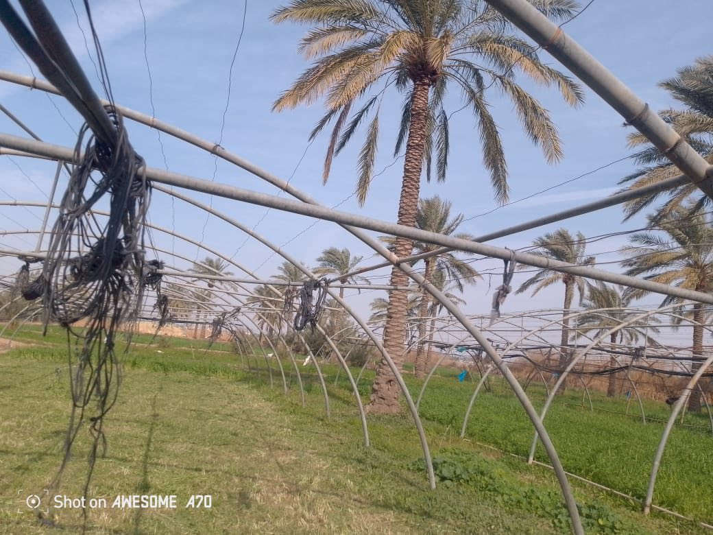 السلام عليكم
متوفر بيوت زجاجيه للبيع 

المكان واسط العزيزيه 

للاستفسار الاتصال ع الرقم ‭0780 493 9488‬
