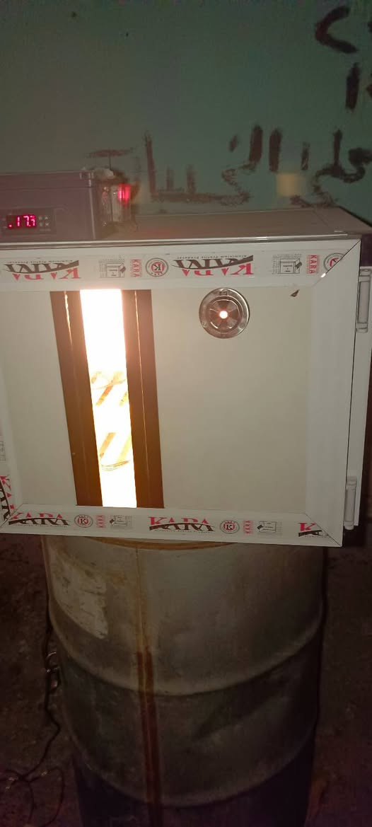 متاح فقاسة نضيفة الحرارة والرطوبة بيها مستقرة ما بيها مشكلة قلابات اتوماتيك بيها قلابين معرف شكد كل واحد ياخذ بيض اعتقد 75 بيضة كل قلاب سعرها من الاخير 100
مكاني جنوب الموصل 
***********
***********
