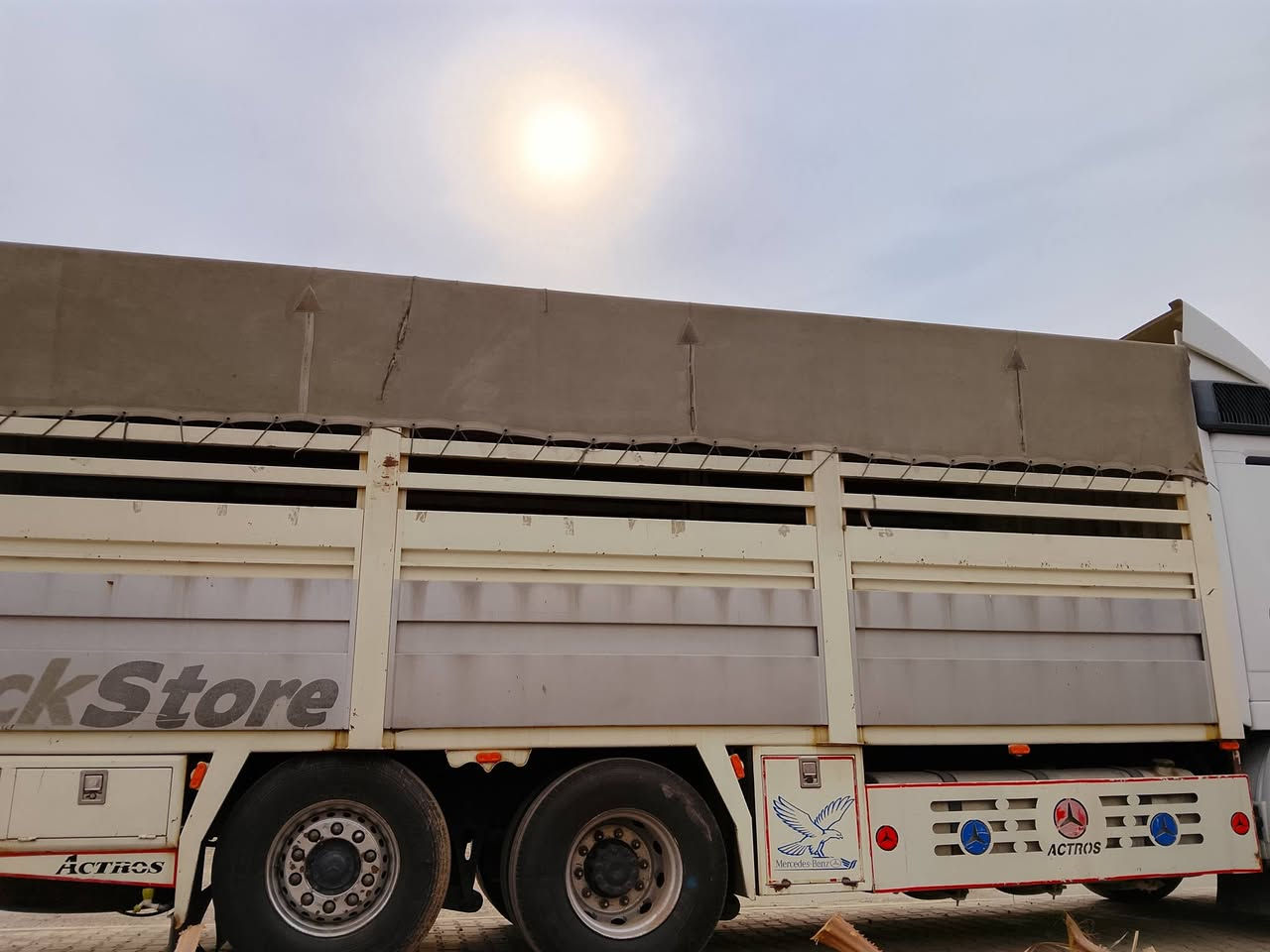 السلام عليكم بدي جديد للبيع معا جوادر شتوي وصيفي السعر 35 وبي مجال ***********
