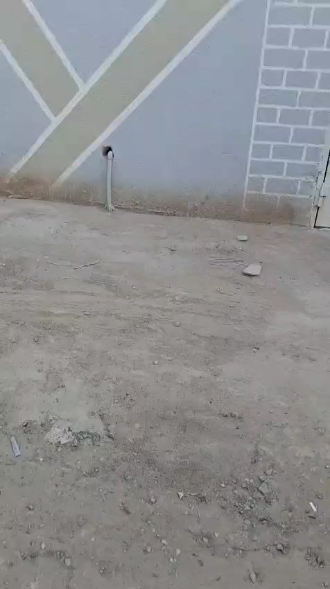 بيت للايجار ٦٠ مترتفاصيل داخل الفديو شارع المدرسي علا تبليط مباشر بيت نضيف مي كهرباء خط مولد مجاري السعر ٢٥٠ الاتصال علا الرقم ***********
