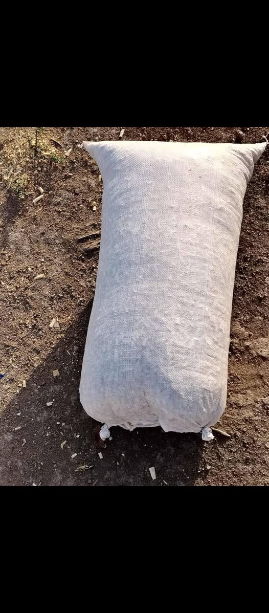 السلام عليكم توجد نشاره للبيع درجة اولى ونضيفه وبيضه وخاليه من الرطوبه وترس فول الاتصال *********** اكو توصيل لجميع المحافظات
