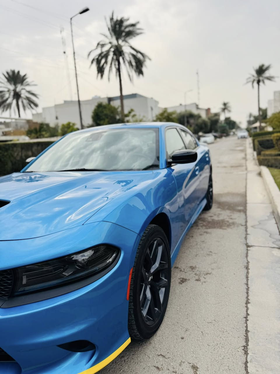 جارجر GT2023 بلاص بلاك ادشن  وكاله هارلم رادار امامي ماشية 12 بحالة زيرو لون البحري المميز  السيارة واحد على واحد ب اسمي ثاني يوم تحويل رقم بغداد    للاستفسار ***********
