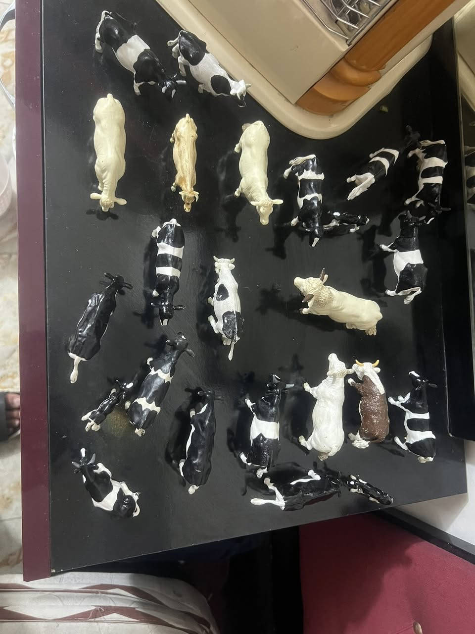 سلام عليكم خوان هذني للبيع مكاني بغداد 
خلي سعر بل عافيه


**إذا كنت صاحب هذا الإعلان وتريد حذفه لأي سبب، رجاءا أرسل رسالة إلى الدعم الفني**