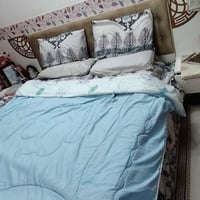 جديدة • نجف • قريه الغدير
