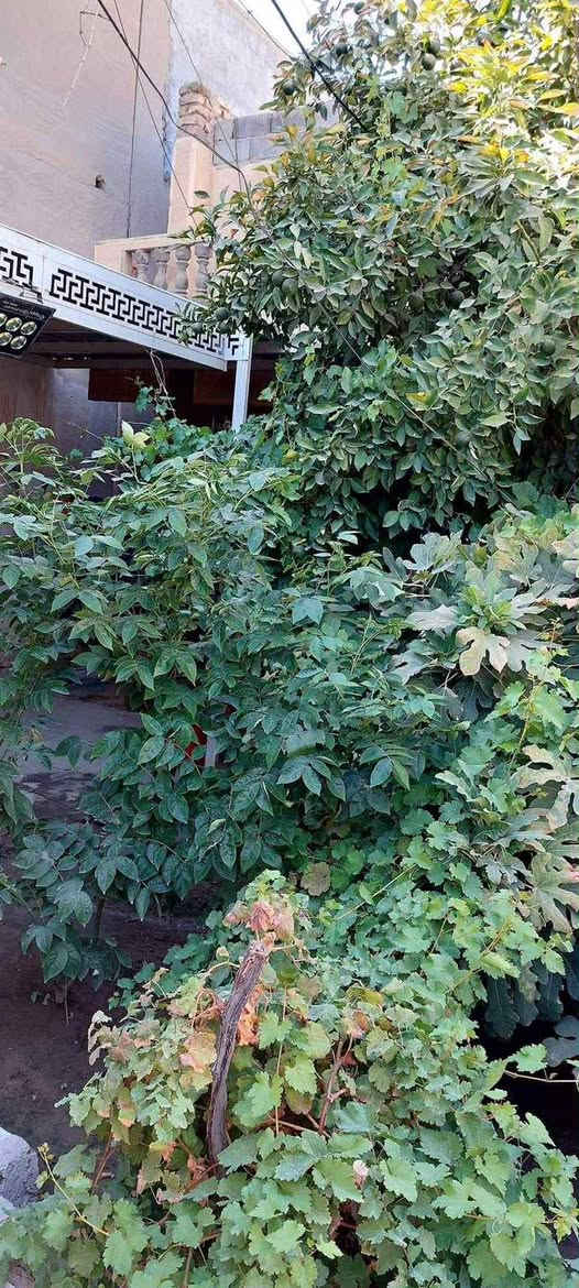 بيت للبيع مساحه ٣٢٤ خلف مصرف بغداد طابو صرف الاستفسار اكثر تصال عله رقم ***********
