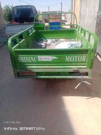 ستوتة ٢٠٢٣ • فحل دولفين • كربلاء المقدسة