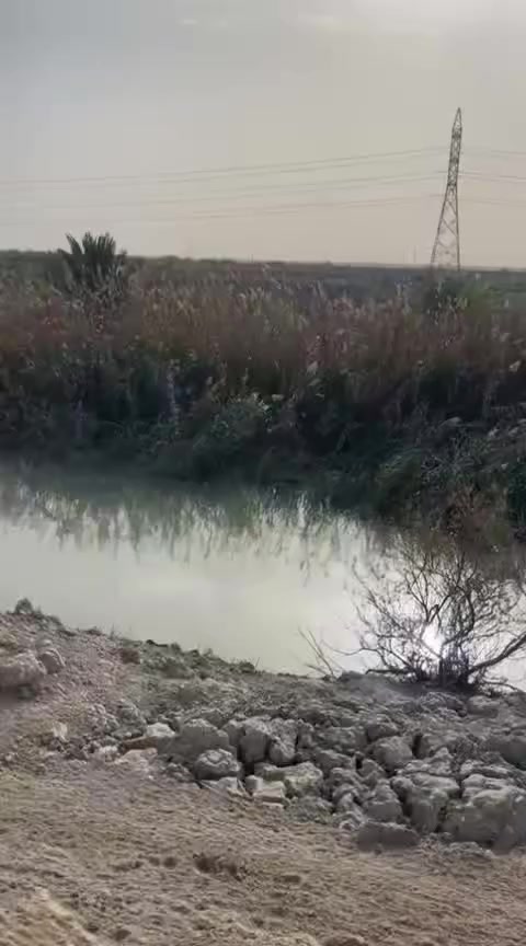 ارض زراعيه للبيع
سديناويه على شط المالح /

بيه نهر رئيسي من الفرات /

المساحه 29 دونم  ***  سعرالدونم (7 $ )ملايين 

*********** **************

