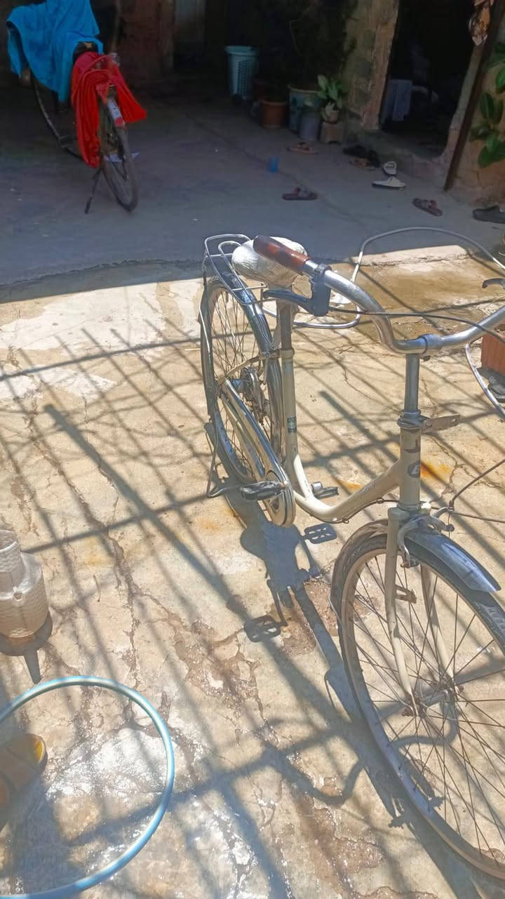 سلام عليكم باسكل حجم 26للبيع اي عيب مابي باسكل بلادي ويل استيل فقط يحتاج له كشن سعره 60 وبي مجال وتساب***********
