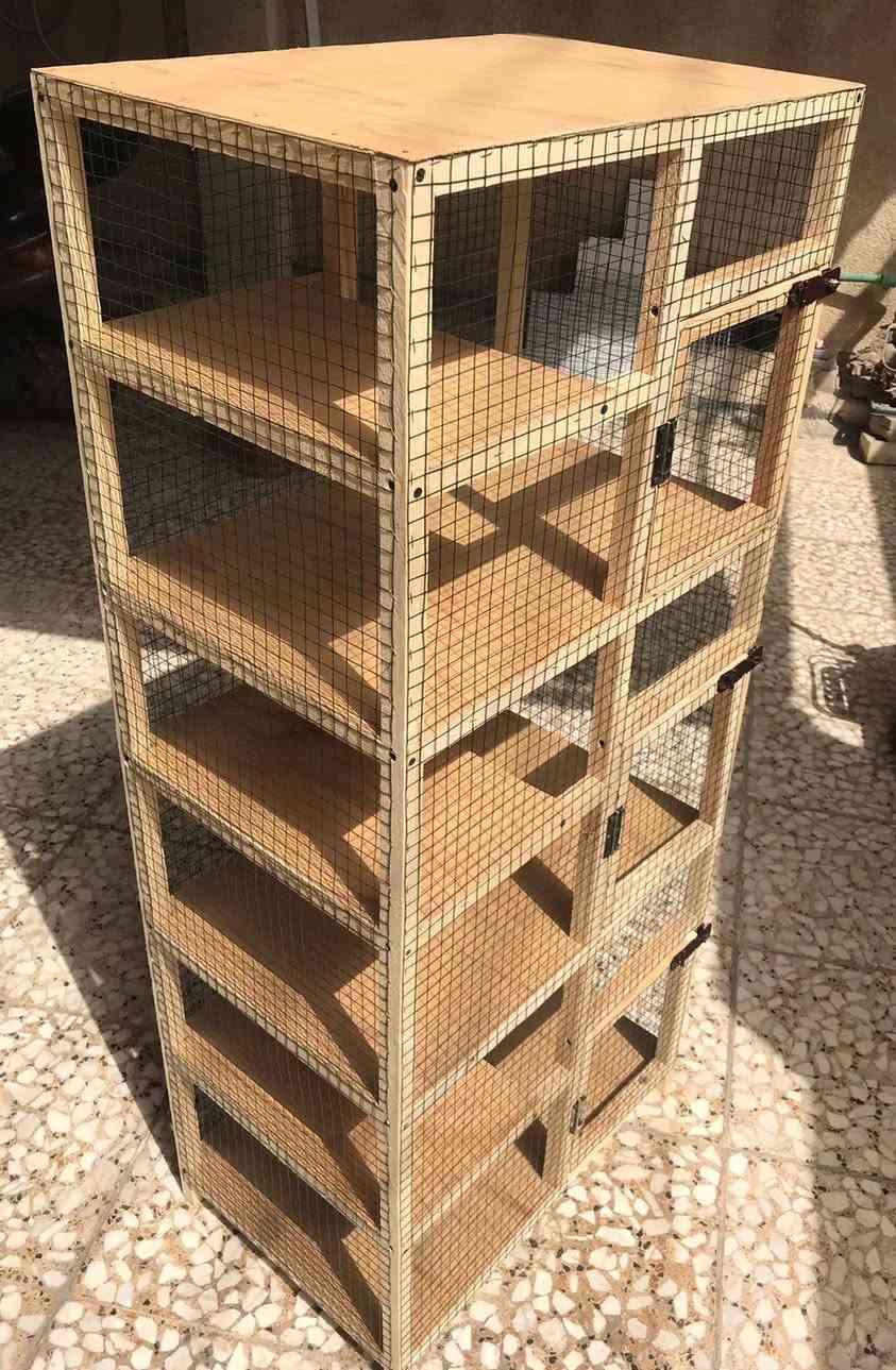 قفص جديد ٣ خانات الارتفاع متر و٤٠ والعرض٦٠سم والنزال٤٠سم موجود رف بكل خانه /كربلاء حي الانتفاضه الثانيه كربلاء, العراق


**إذا كنت صاحب هذا الإعلان وتريد حذفه لأي سبب، رجاءا أرسل رسالة إلى الدعم الفني**