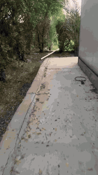 نص دونم • عقد زراعي • جسر دياله