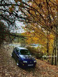 فولكس واجن • جولف • اربيل