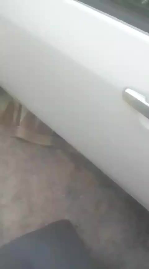 سلام عليكم بي واي دي امحوره كورله مصبوغه عام بيه معجون وبيها دحجات ومعمرات فه ابيع كوم حديد اتكفل بس الاصوليات 2011 رقم بصره مشروع وطني السنويه 2027
السعر 35 
ناصرية.......
***********
