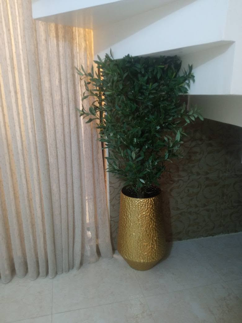 زرعه للبيع نهايتها 100 الف اخذتها ب150 حلة, بابل


**إذا كنت صاحب هذا الإعلان وتريد حذفه لأي سبب، رجاءا أرسل رسالة إلى الدعم الفني**