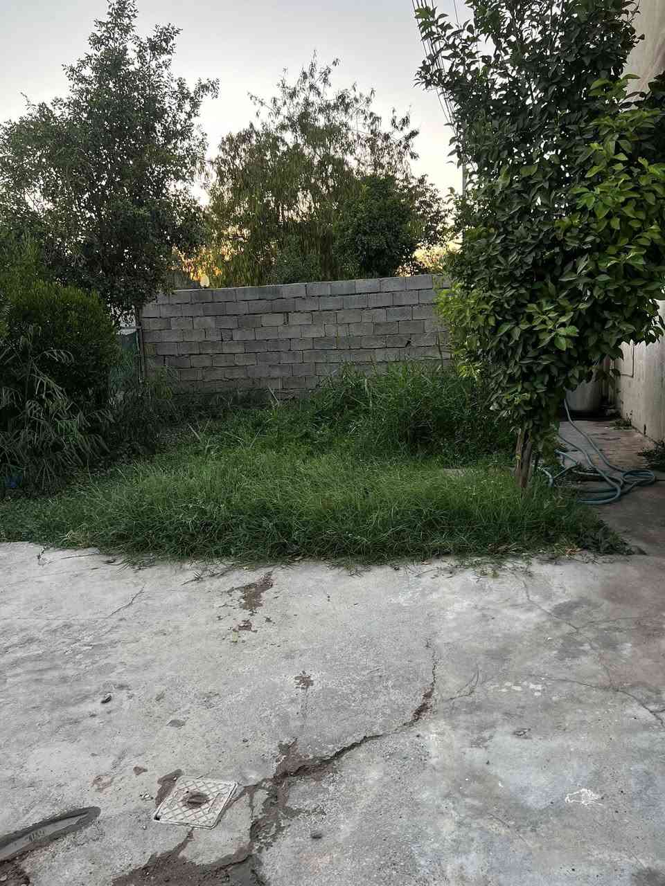 🏘🏘بيت للبيع ديالى خانقين / امام عباس فرع جامع الخلفاء واسواق نرجس بالبداية خلف محلات مساحة 200 متر 

2 غرفة نوم وصالة كبيره ومطبخ ومجمع صحيات داخلي وخارجي وحديقة كبيره وكراج كبير 

السعر / 42 مليون بي مجال بسيط 

للأستفسار اكثر اتصال بالارقام فقط 
***********
***********
مكتب فريا موفق للعقار
