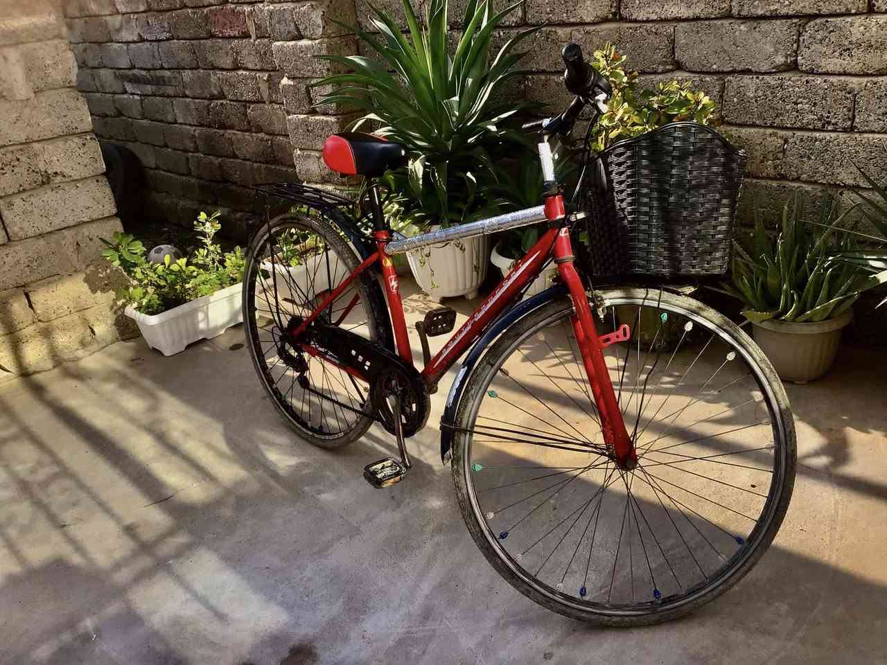 السعر ٧٥+بي مجال
الرقم للاستفسار. ***********
