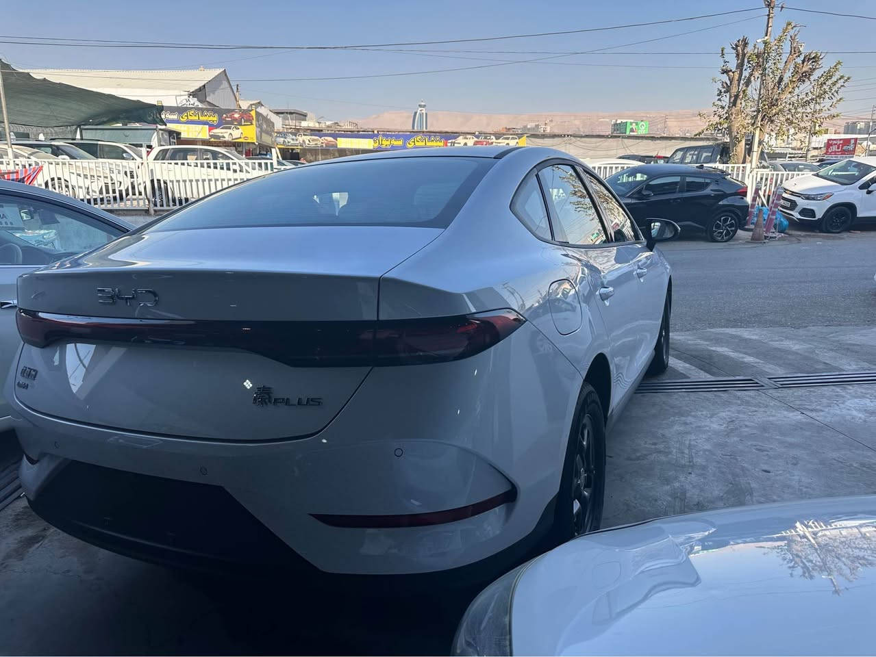 بيواى دى كين پله س سفر عه ده د به رده سته 
سپى ناو زه رد كامل عه شيا گاعى بيلادى ده بل كارت
نرخى ١١٧وه ره قه
*********** السليمانية, العراق
