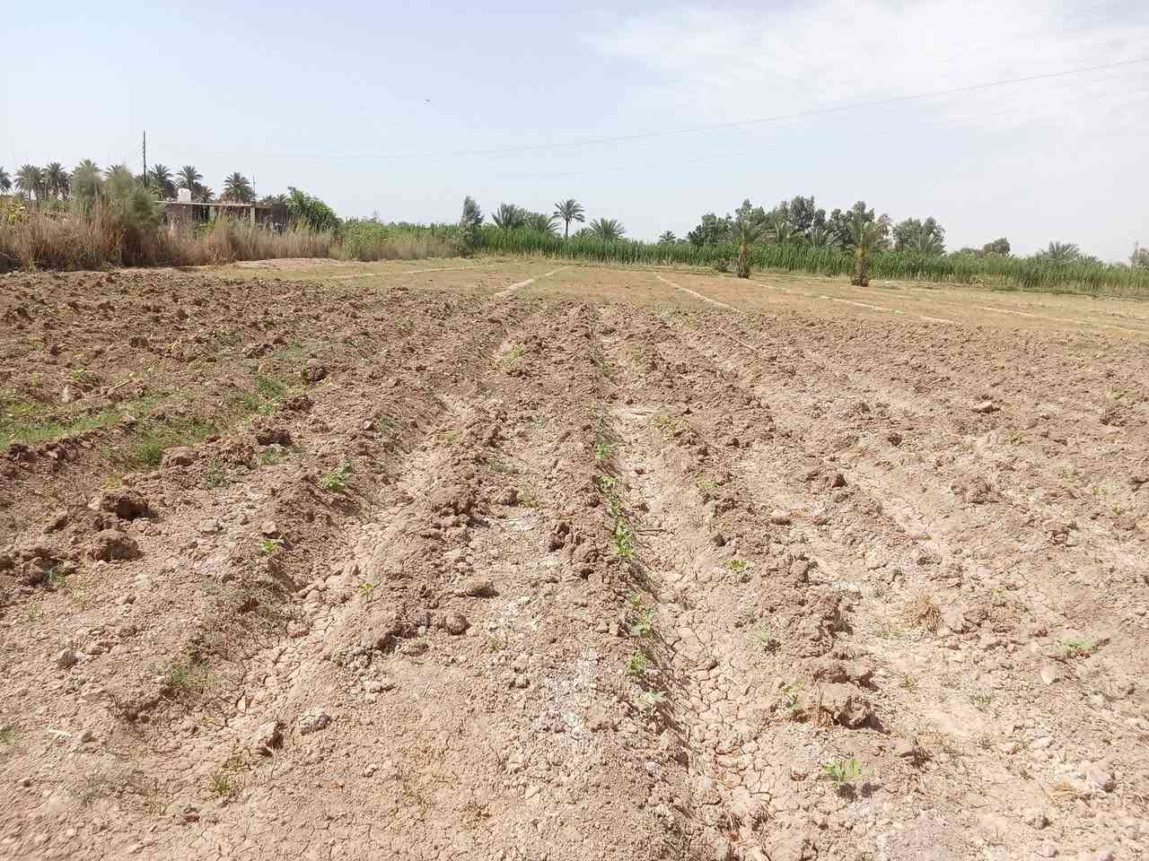 السلام عليكم دونمين للبيع في حي الزهراء متوفر كافه للخدما ت من ماء وكهرباء ومولد سحب الاتصال على الرقم ***********
