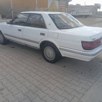 مشروع وطني • مصبوغه جماليه • كركوك