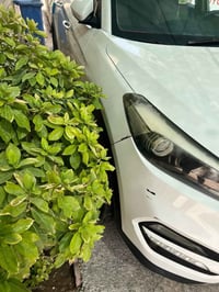 توسان موديل 2016 خليجي رقم بغداد الجديد  مكفوله من الحادث  بيها كم رصع...